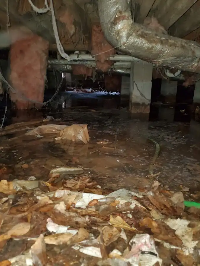 Crawl space flood assessment for Leak Detection & Repair in Batesville